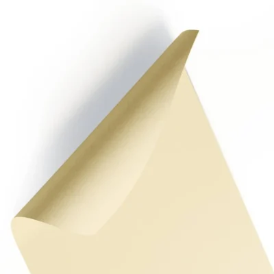 Folha Eva Liso Bege 40 cm X 48 cm  - Onda