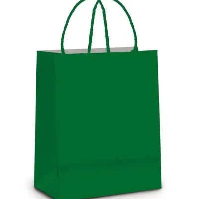 Sacola De Papel Verde Escuro 26 cm X 19.5 cm X 9.5 cm  - Cromus