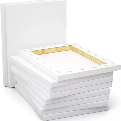 Tela P/ Pintura 20 cm X 30 cm  ( Marcas: Stalo, Souza  E Kaz )