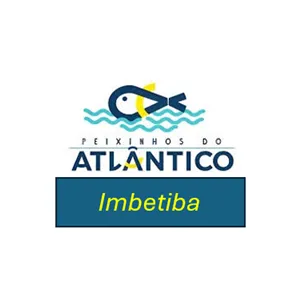 Peixinhos Do Atlântico - Imbetiba